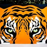 El Tigre de Santiago