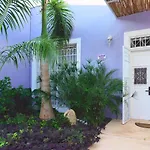 Casa Violeta