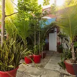 Che Nomadas Merida Hostel Adults Only