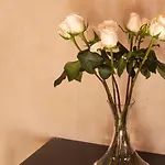 Rosas&Xocolate Boutique Hotel+Spa