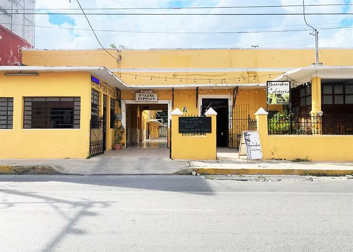 OYO Posada Espinosa