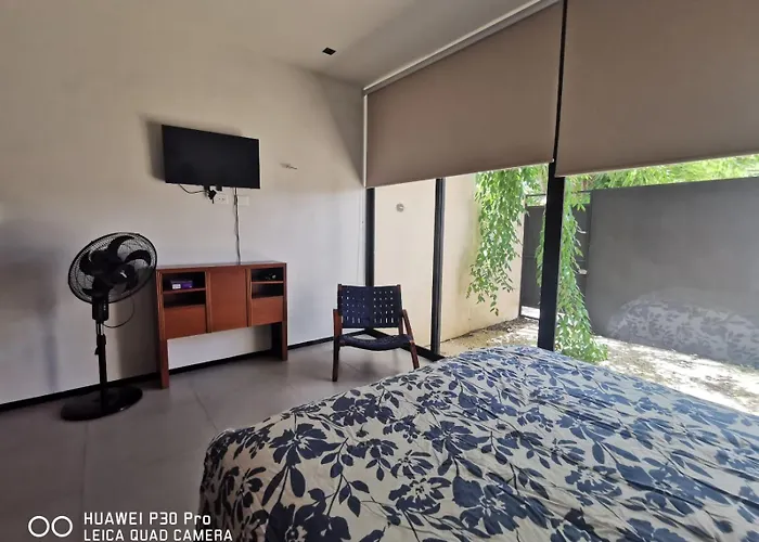 Estudio Lalo Temozon Merida Burea