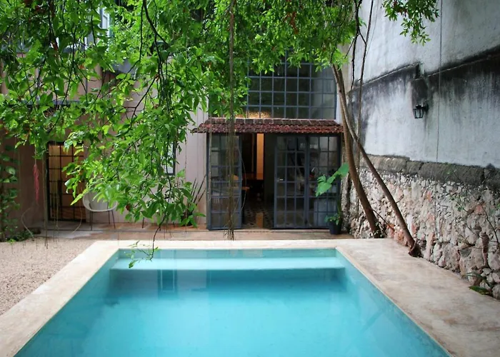 Oasis With Natural Pool In The Heart Of Merida