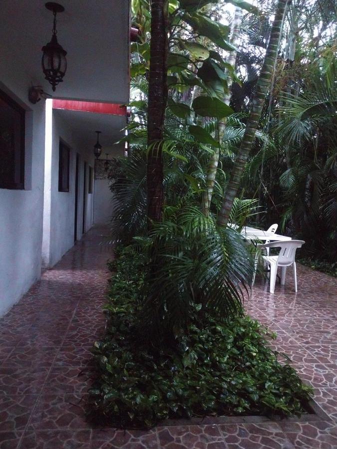 Punto Checo Apartamento Mérida