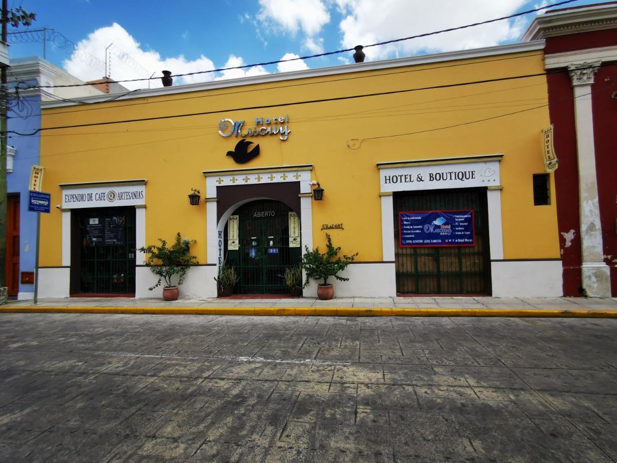 Mucuy 3* Merida