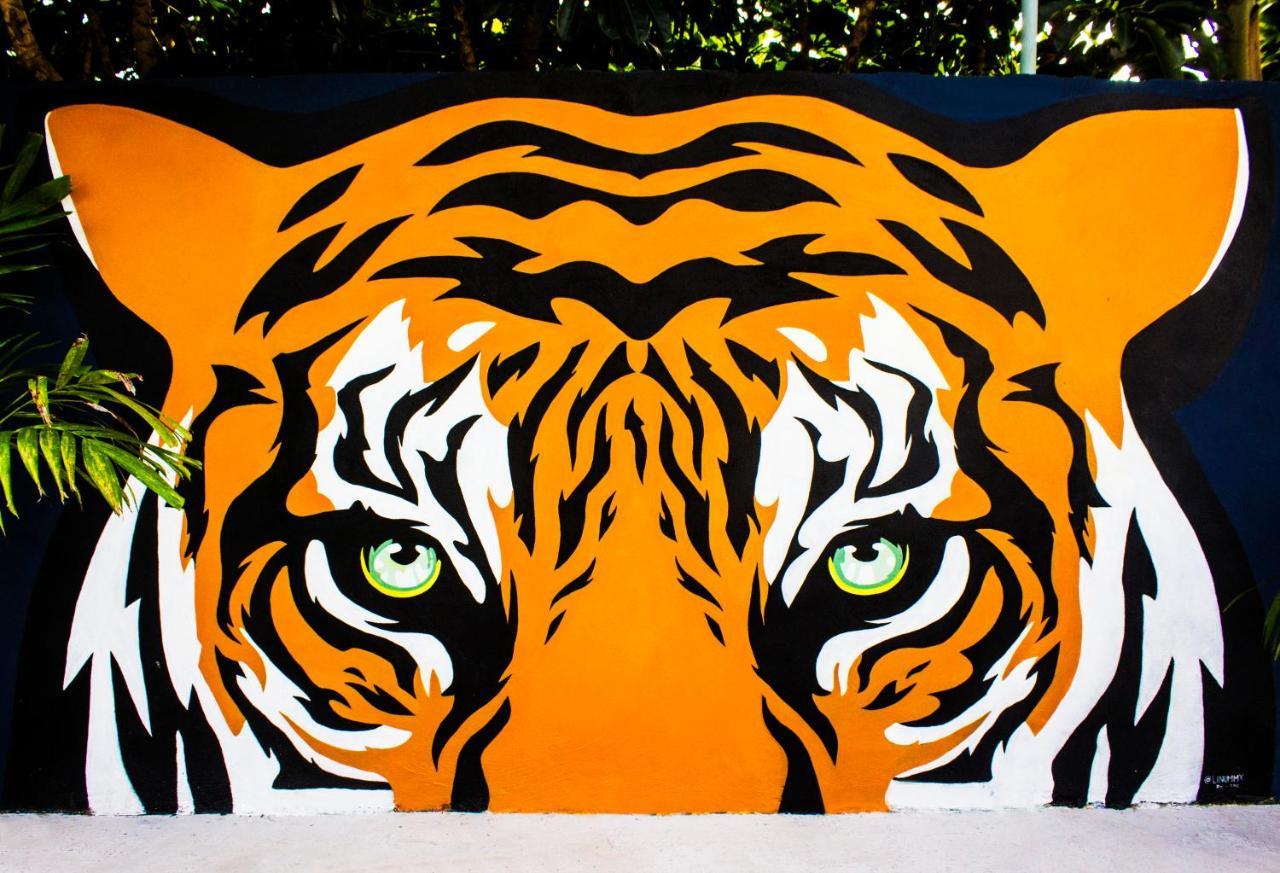Hostal El Tigre De Santiago *