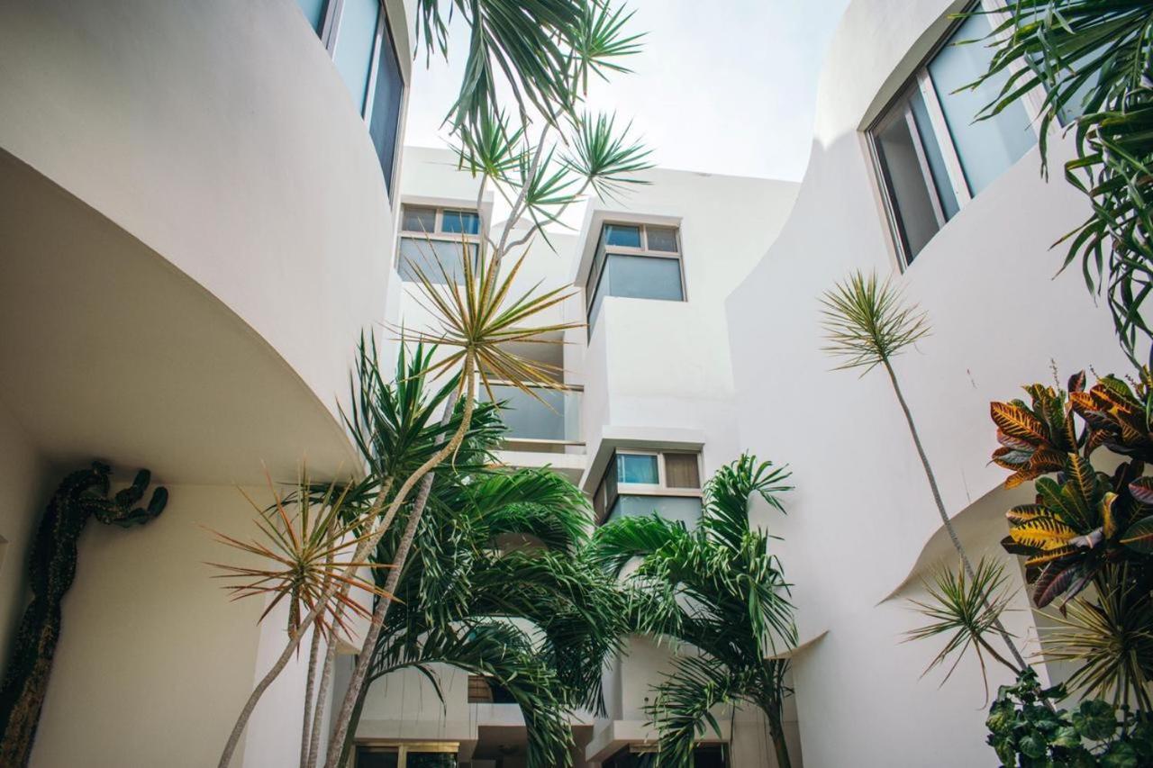 Luxury Apartments *