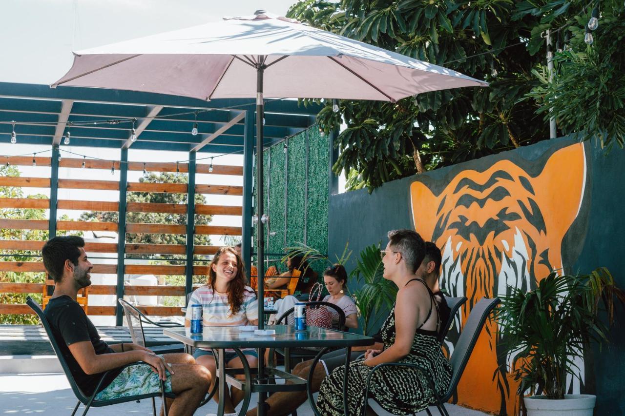 El Tigre De Santiago Hostal Mérida