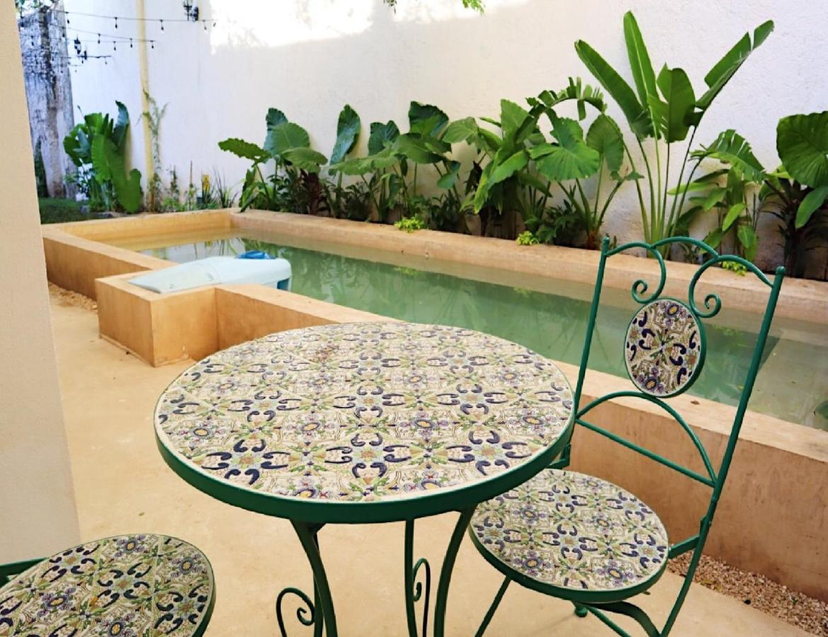 Hotel & Boutique Casa Garza *