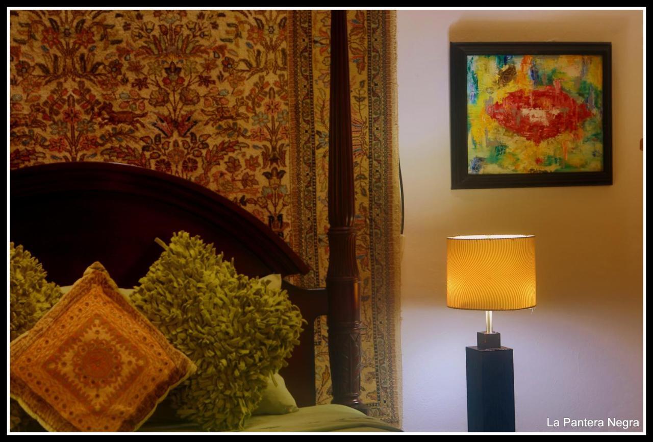 Bed & Breakfast La Pantera Negra Merida