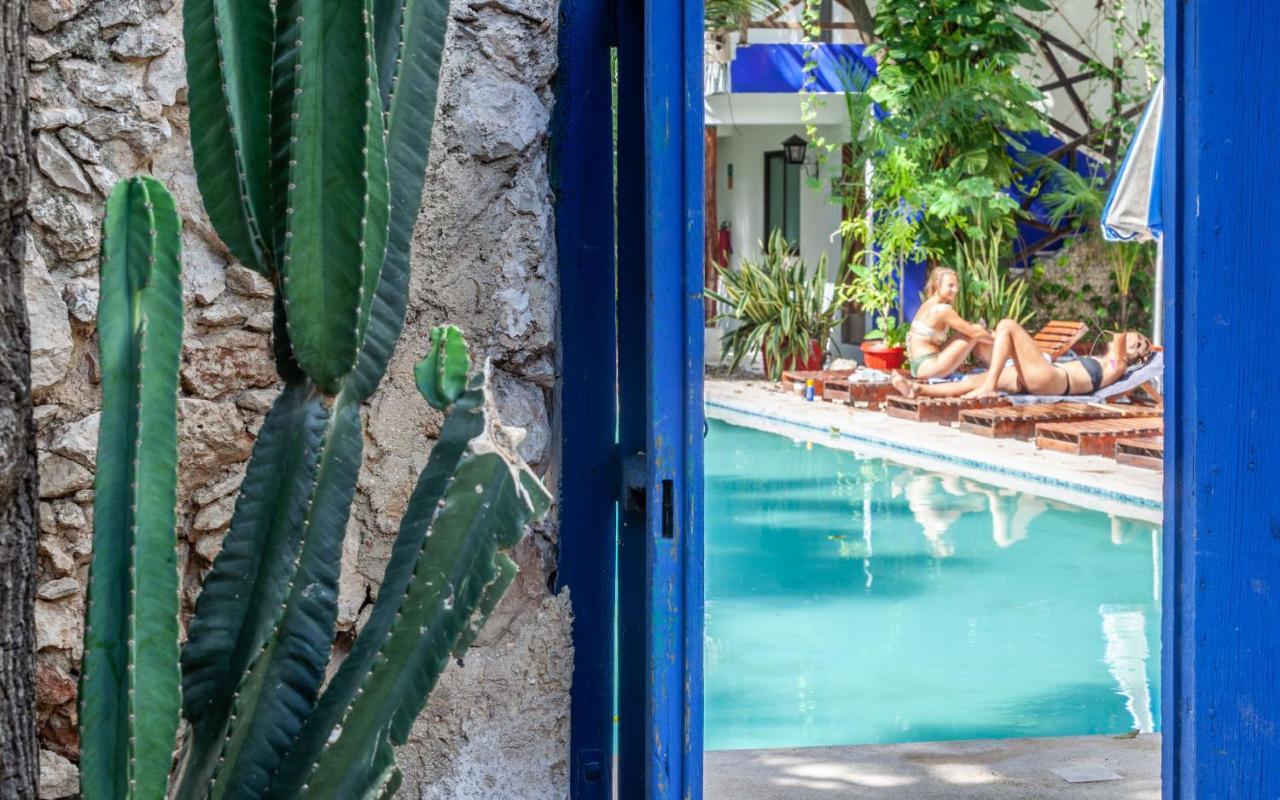 Guest house Che Nomadas Merida Hostel Adults Only Merida