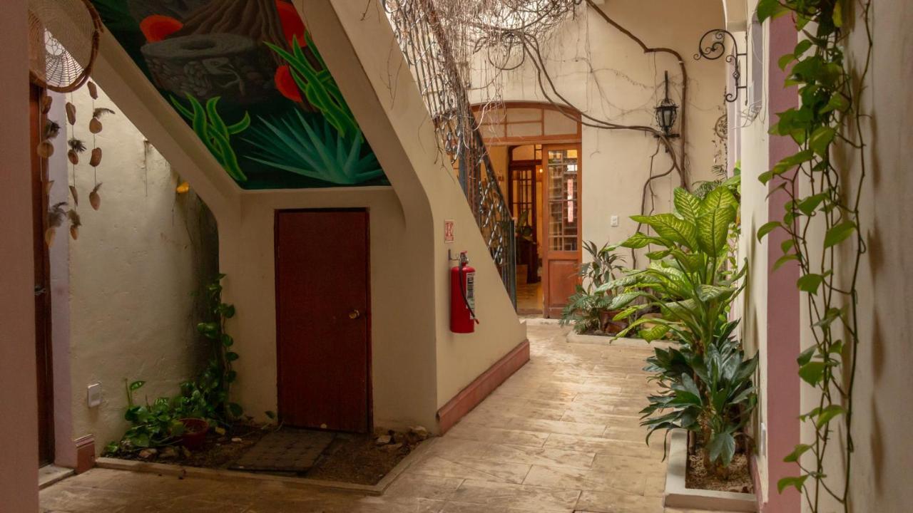 Bed and breakfast Kuka Y Naranjo