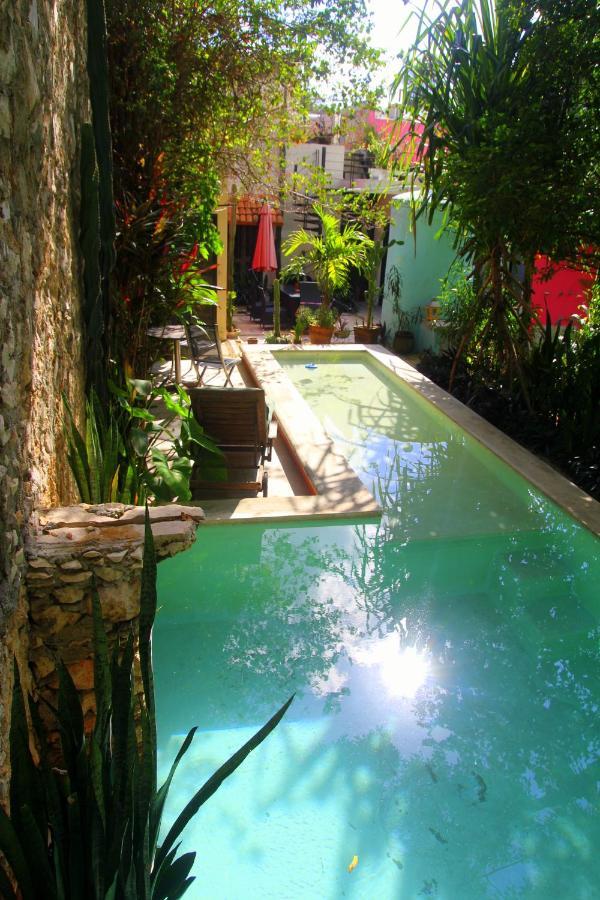 Bed & Breakfast La Pantera Negra 3*