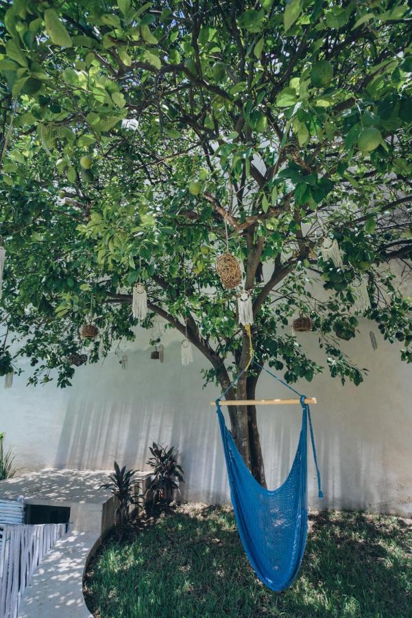 Homestay Villaboha Merida