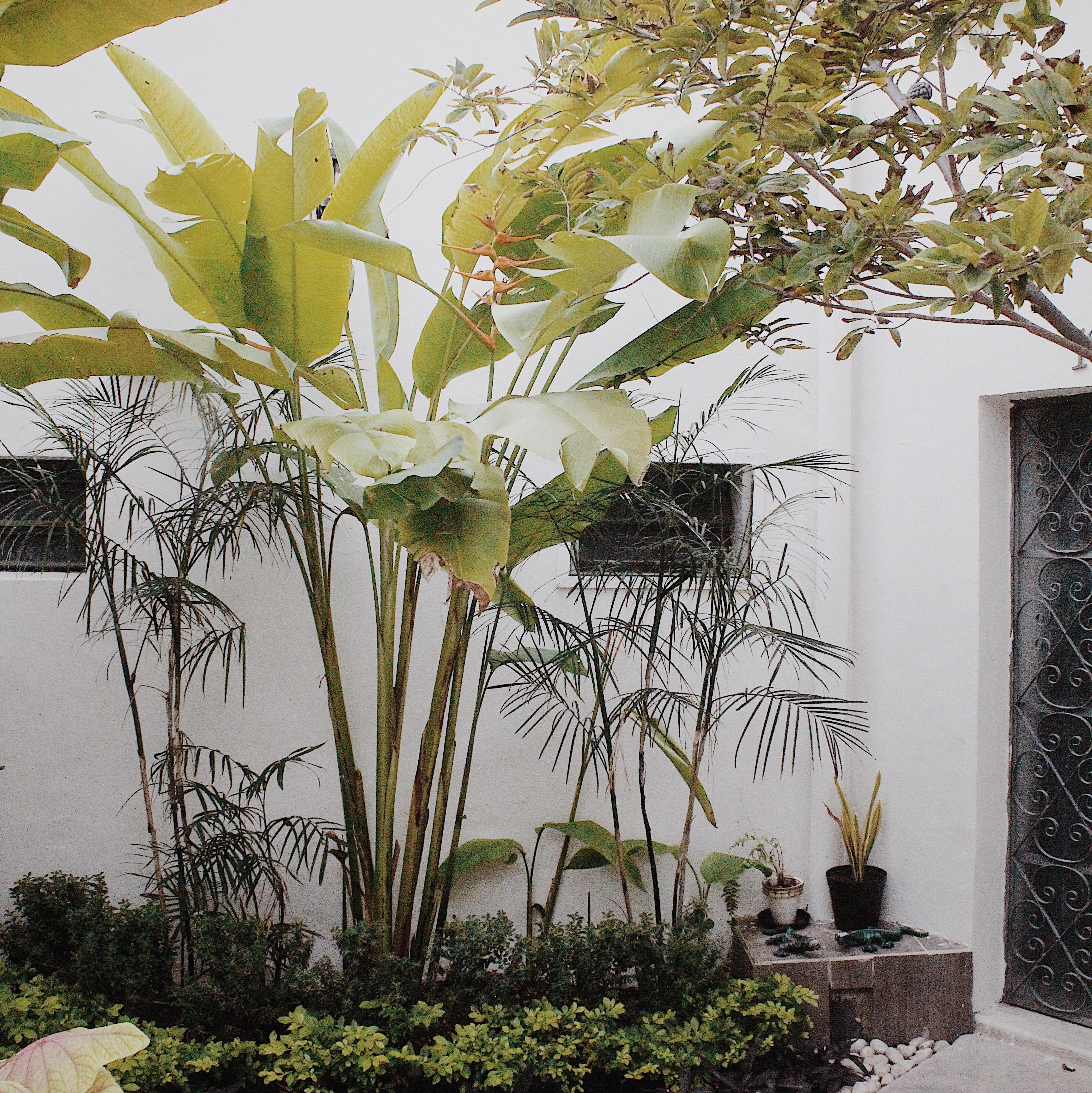Hostal El Tigre De Santiago *