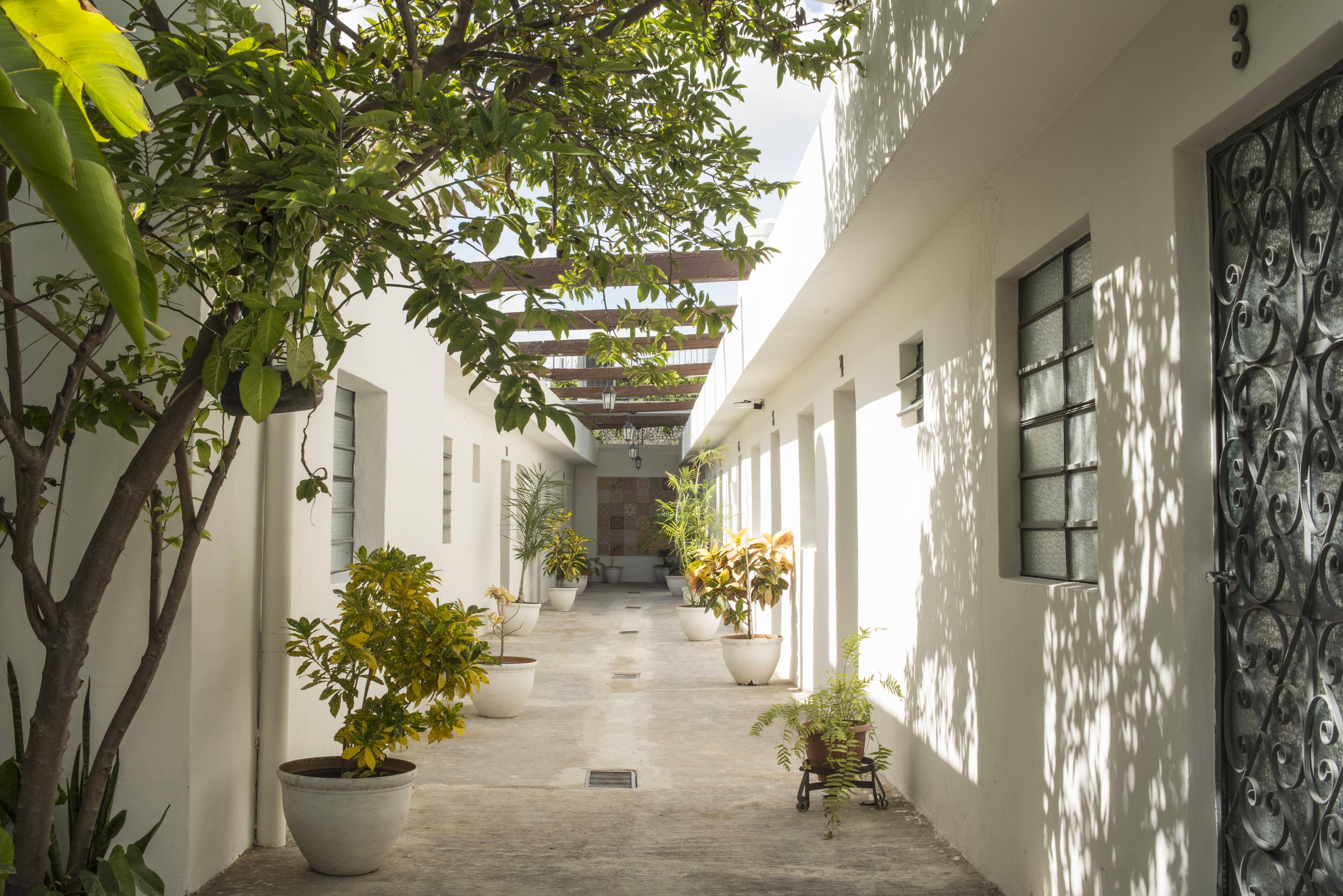 El Tigre De Santiago Hostal