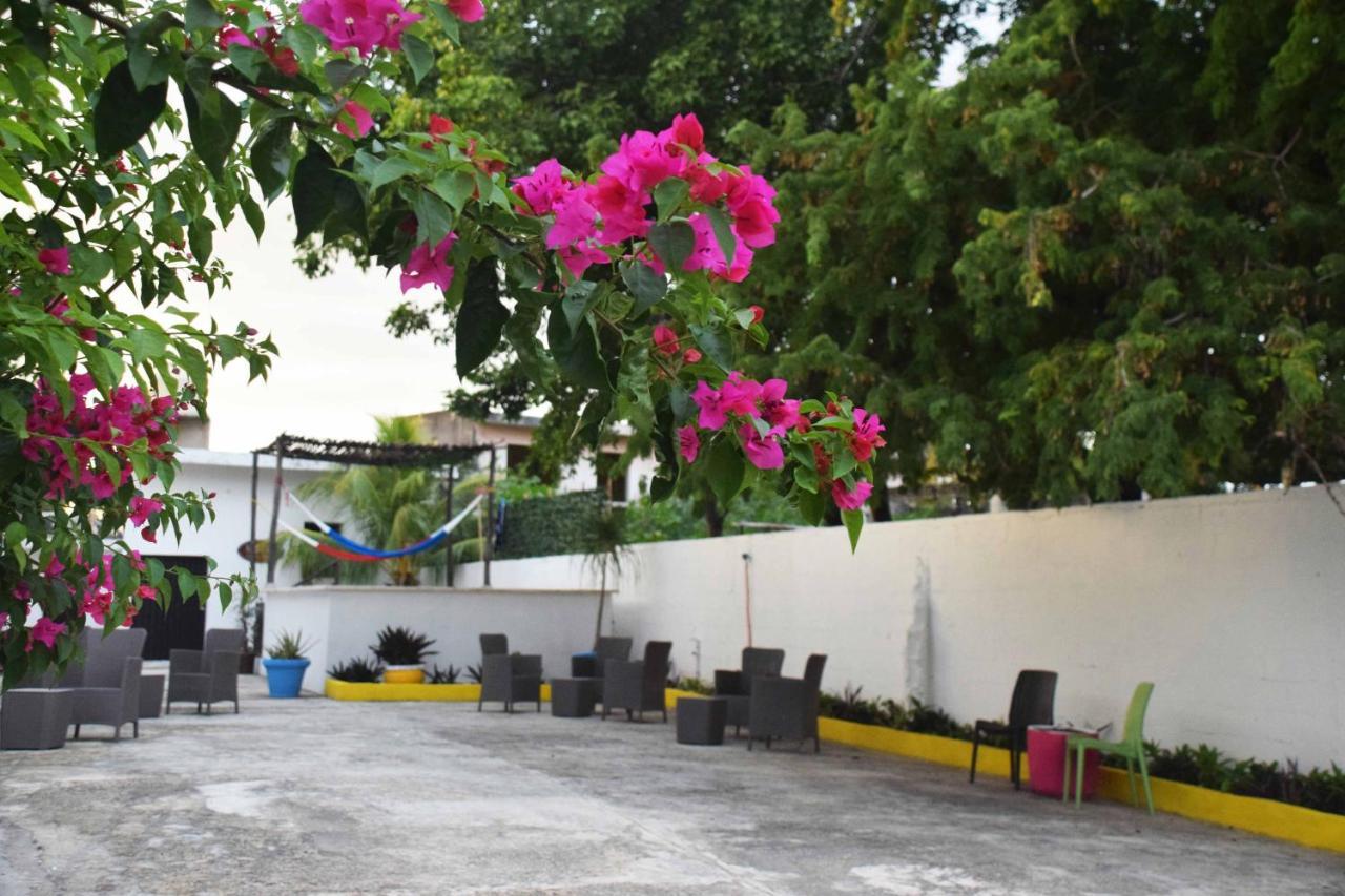 Casa Bohemia *