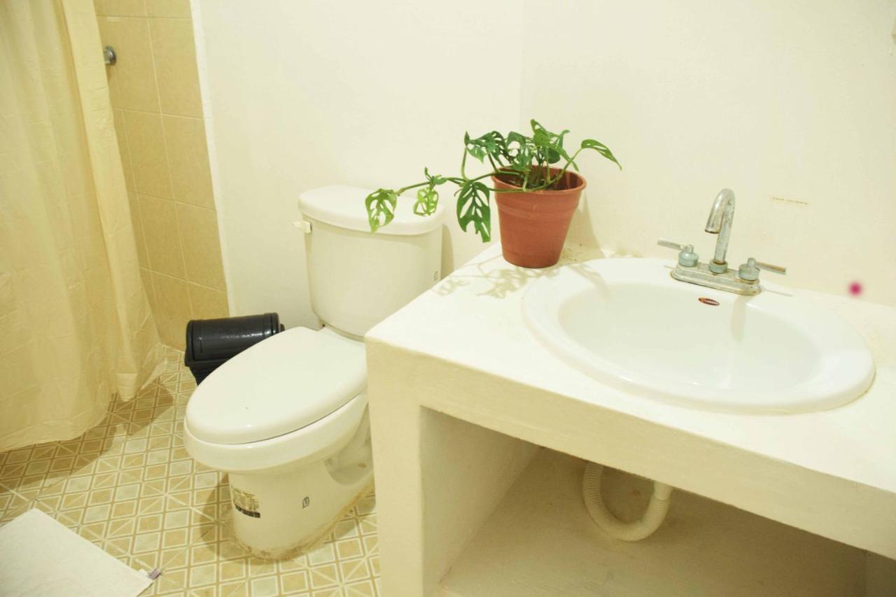 Casa Bohemia Hostal *