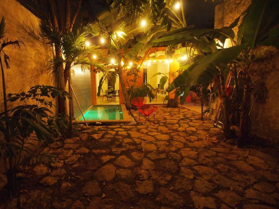 Candita, A Unos Pasos Del Paseo Montejo