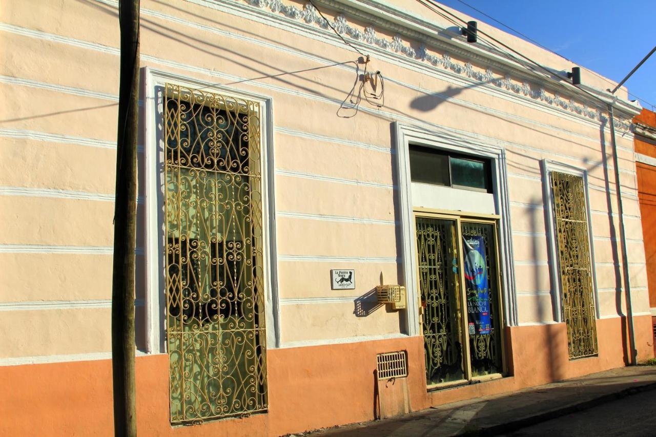 La Pantera Negra Bed & Breakfast Merida