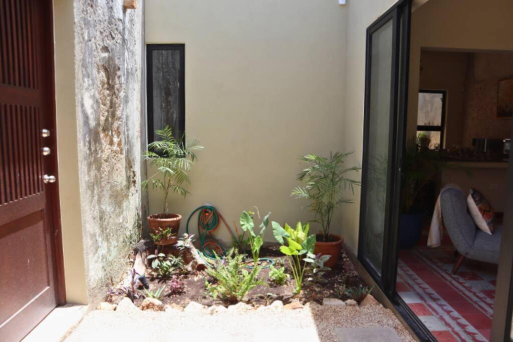 Сasa de vacaciones Casa Coco Mérida