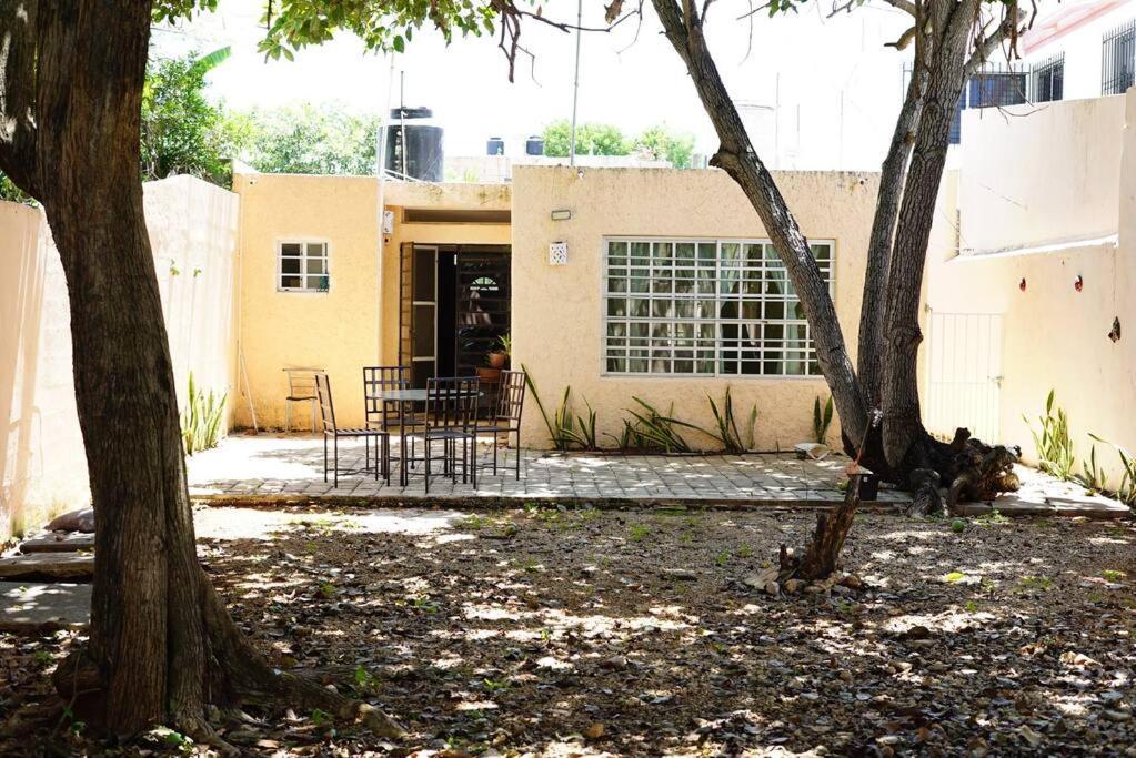 Casa Avocado, En Garcia Gineres Merida