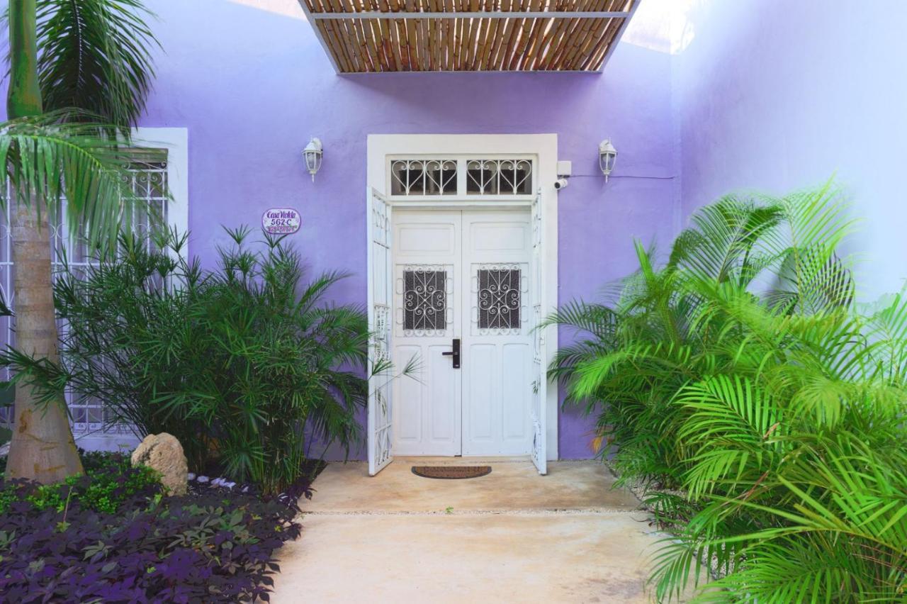 Casa Violeta