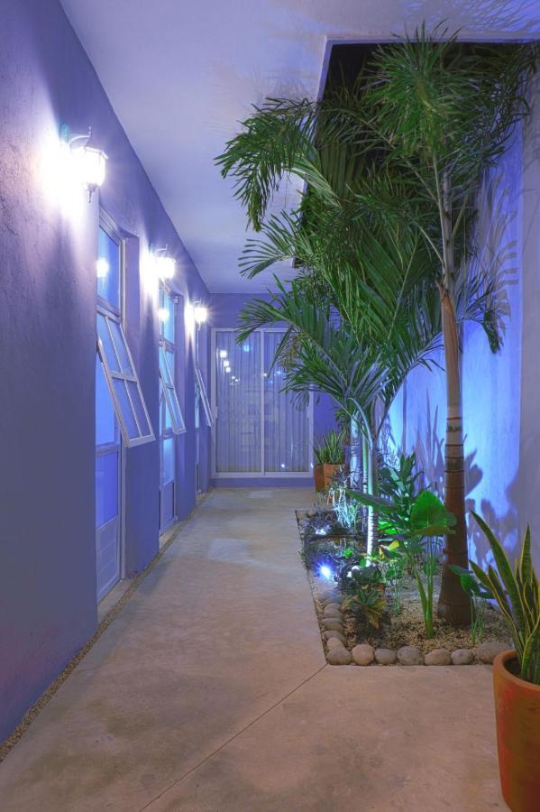 Casa Violeta Mérida