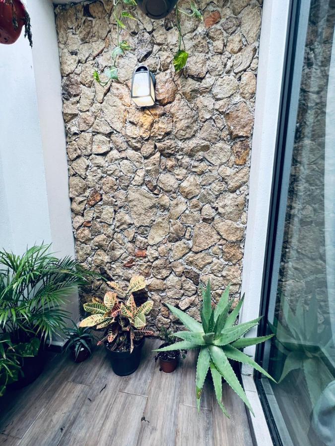 Apartamento Colibri Mid - Linda Casa En El Centro Historico De *