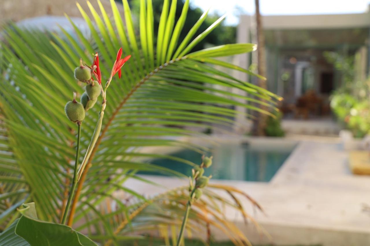 Nuik Casa Tropical Mérida