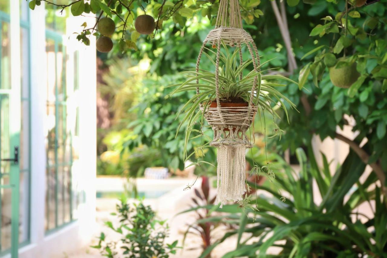 Nuik Casa Tropical Bed and breakfast