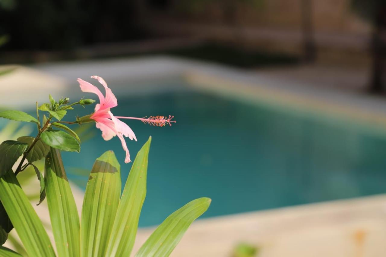 Nuik Casa Tropical * Mérida