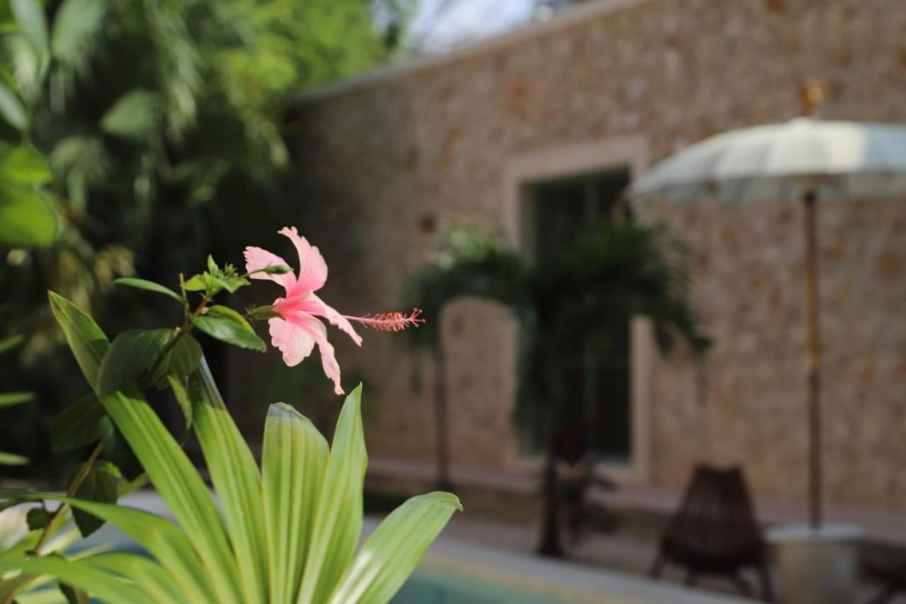 Nuik Casa Tropical Mérida