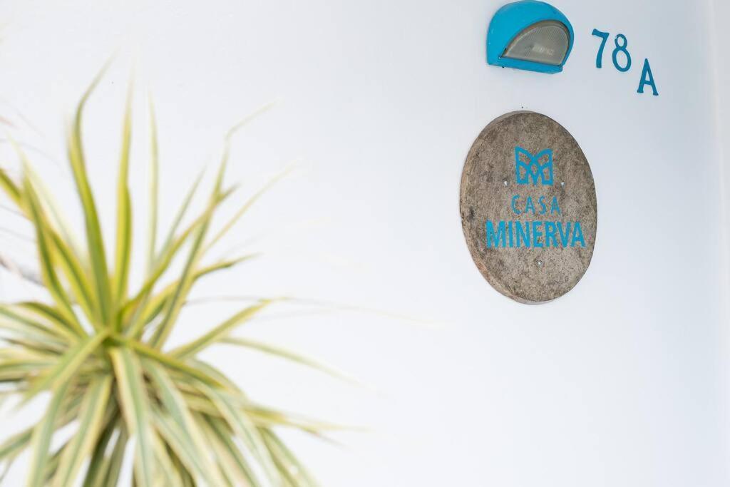 Casa Minerva Mérida