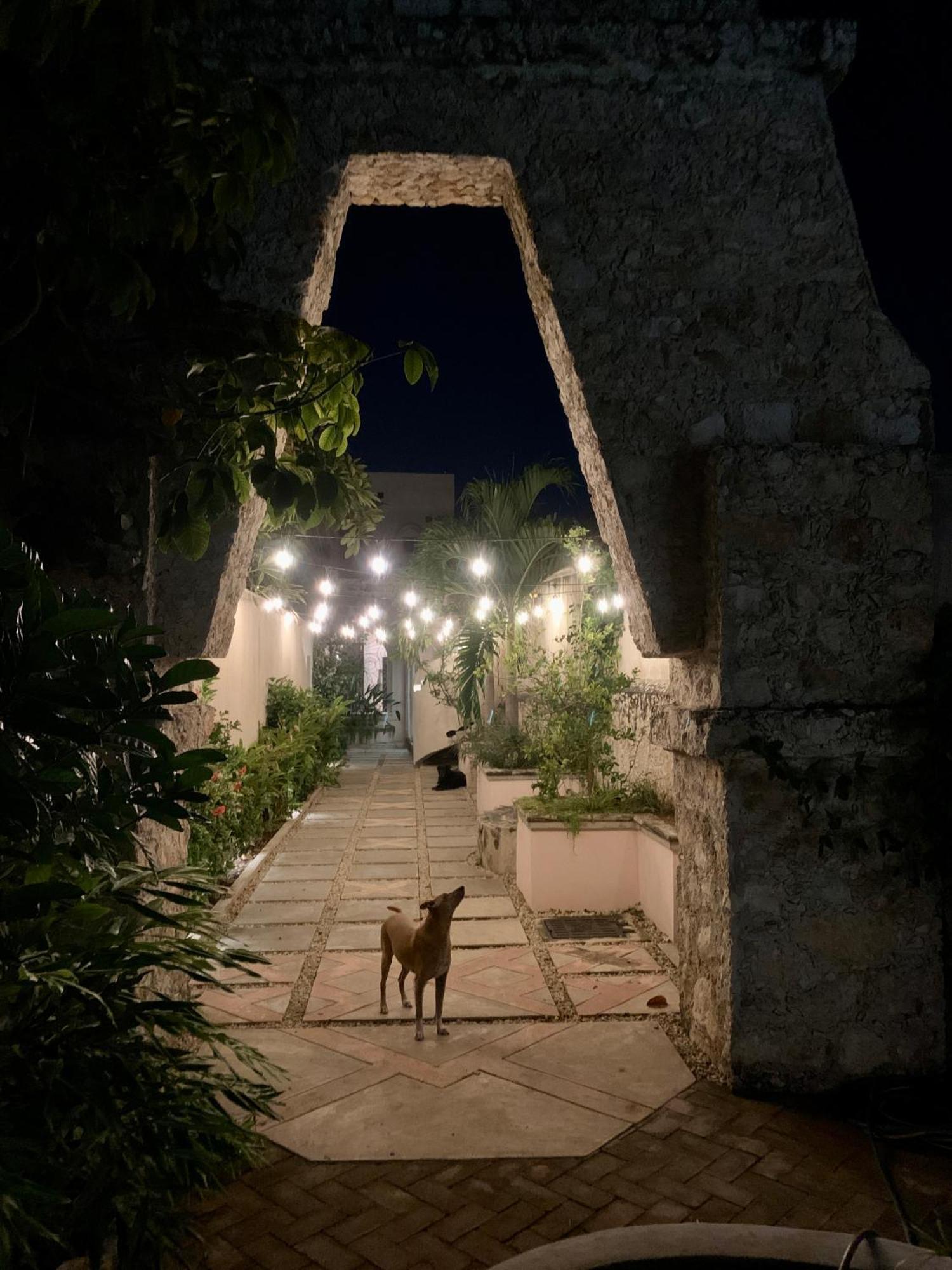 Bed & Breakfast Calle Ouvert Merida