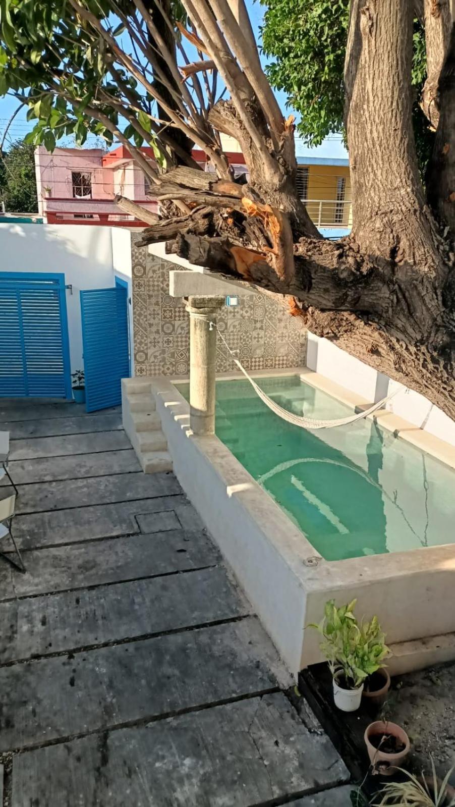 Casa Minerva Сasa de vacaciones Mérida