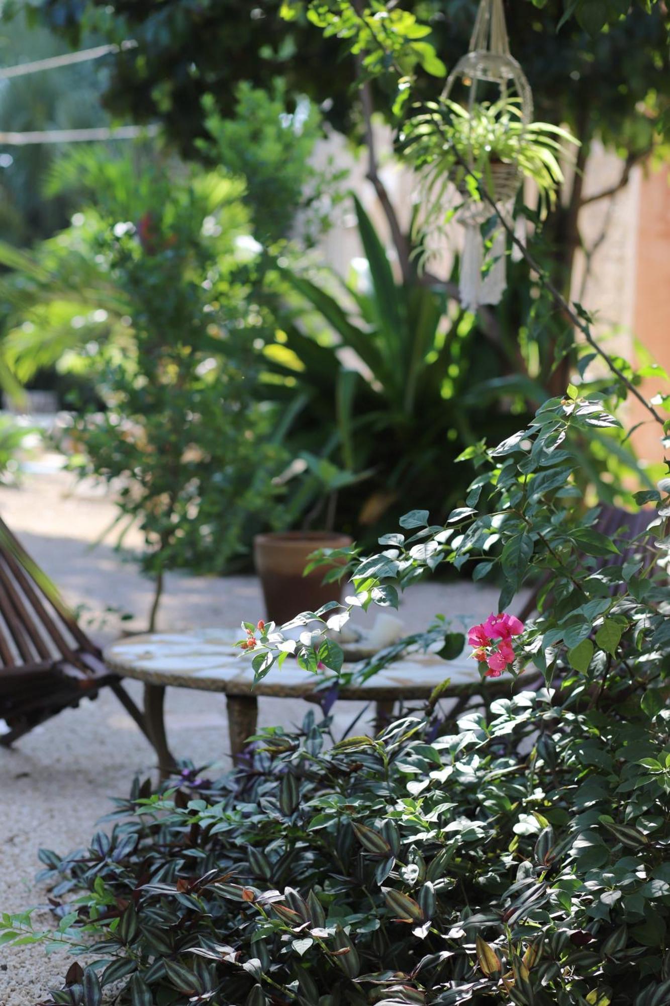 Nuik Casa Tropical *