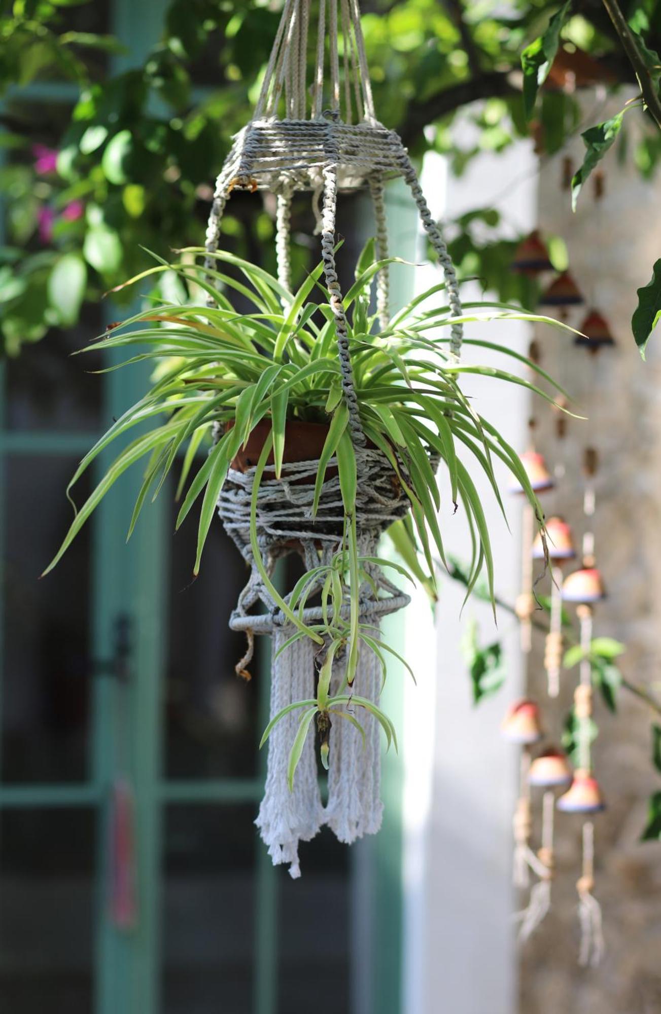 Nuik Casa Tropical *