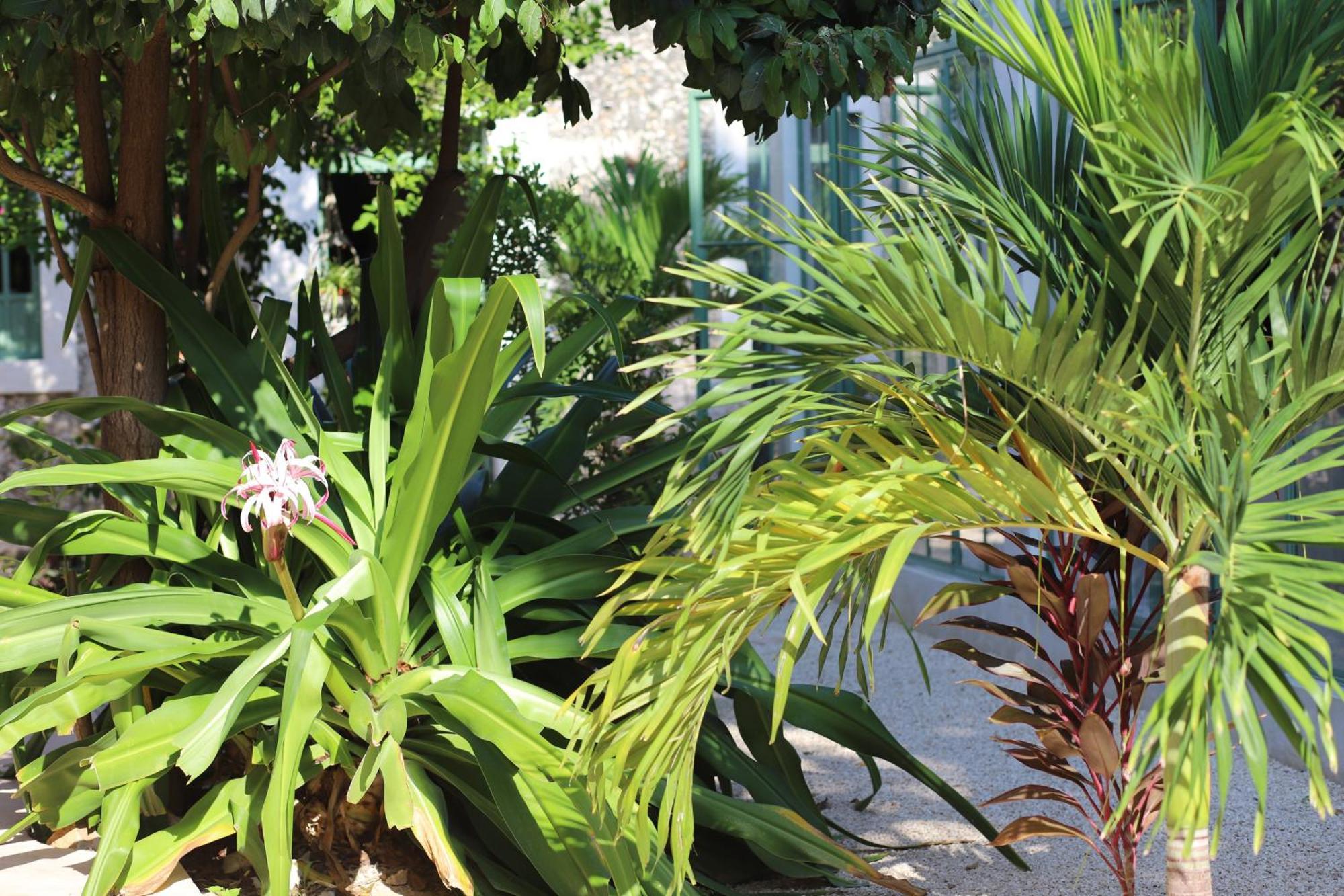 Nuik Casa Tropical Mérida