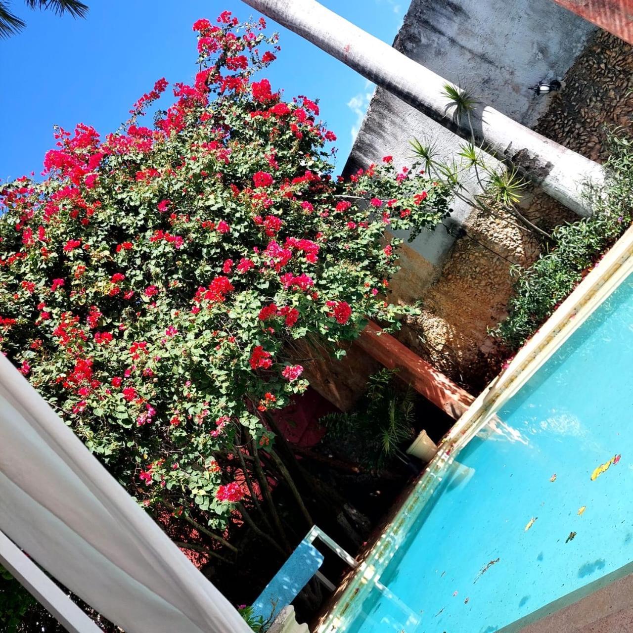 Villa Octavia Mérida