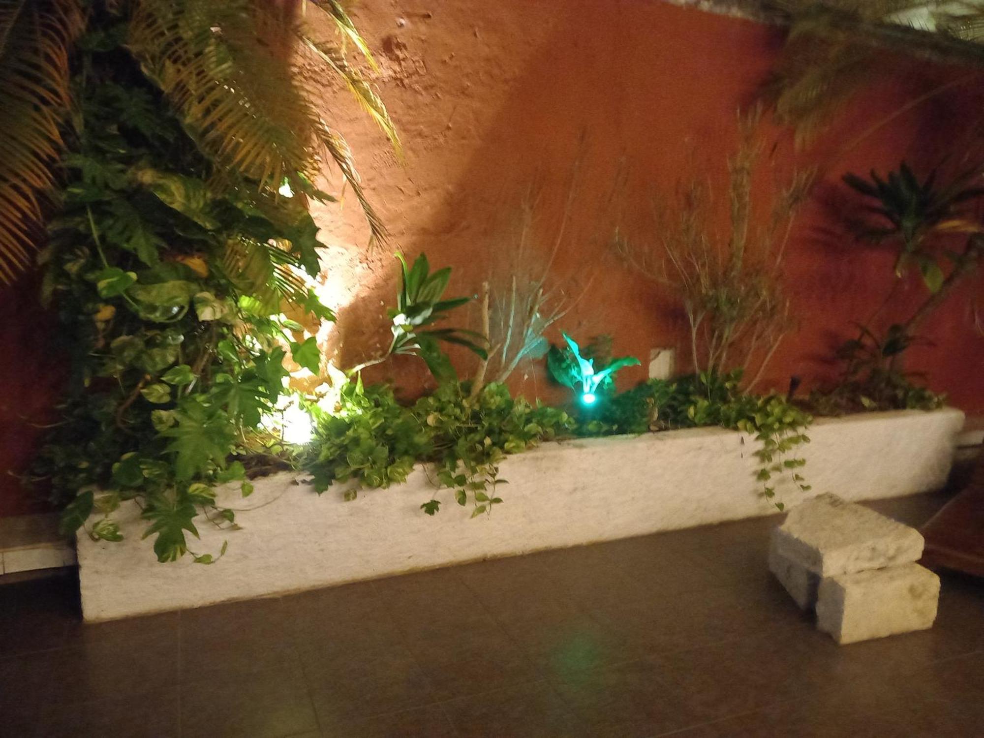 Hotel Reforma 3*