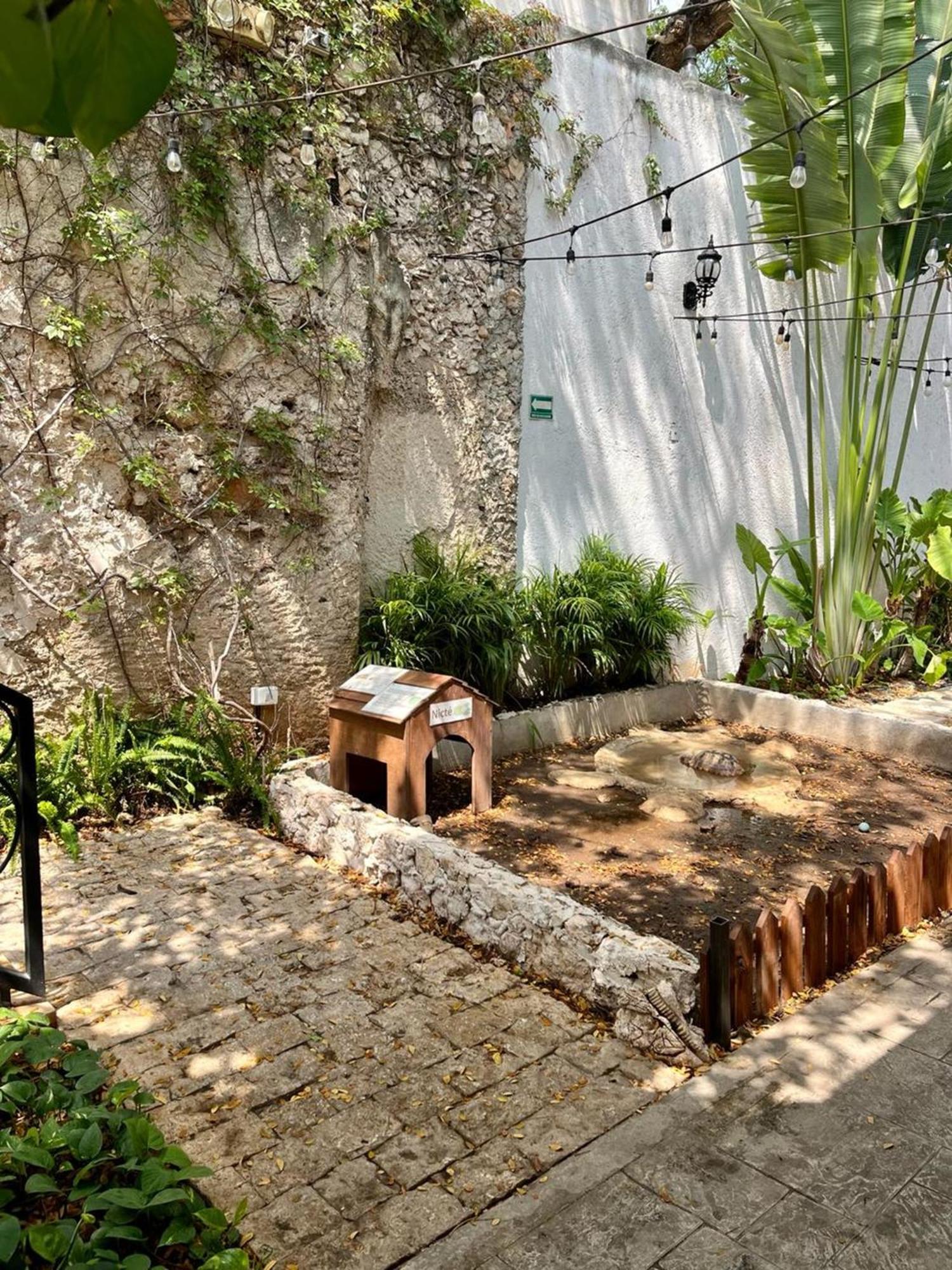 Hotel & Boutique Casa Garza