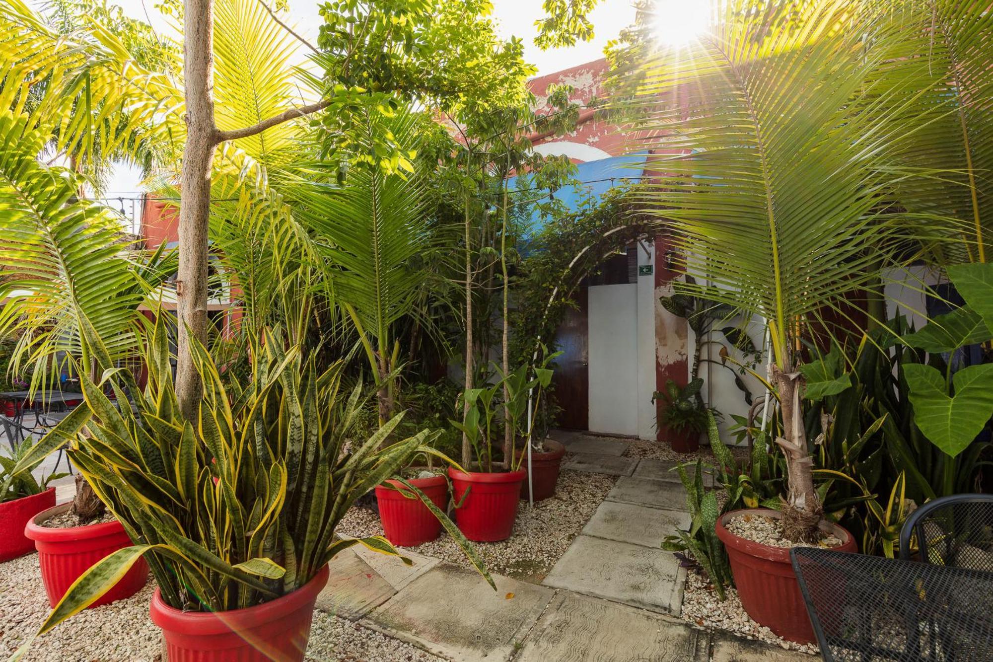 Che Nomadas Merida Hostel Adults Only