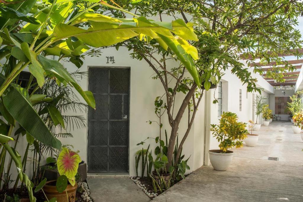 Hostal El Tigre De Santiago