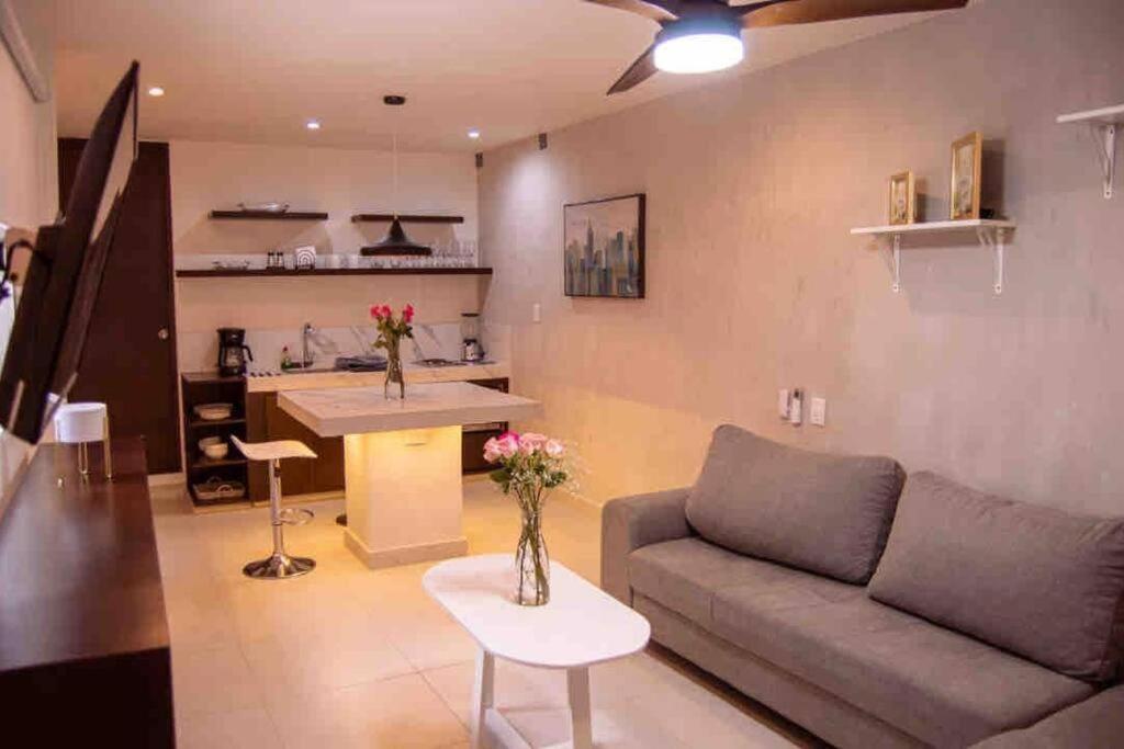 Mid-498 Centro Apartamento