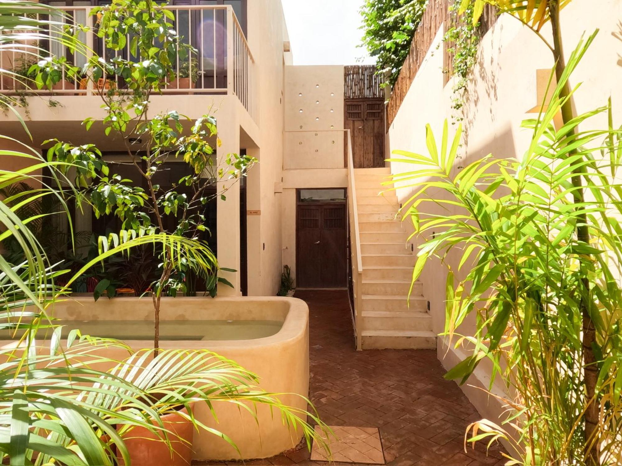 Bed & Breakfast Kuka Y Milpa