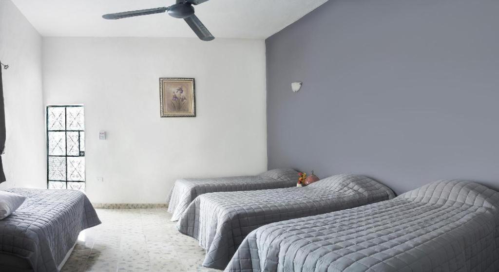 Hostal El Tigre De Santiago Mérida