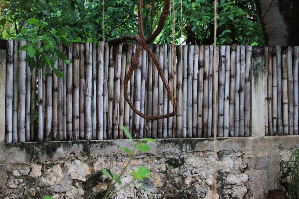 Oasis With Natural Pool In The Heart Of * Mérida