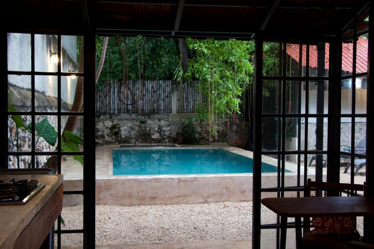 Villa Oasis With Natural Pool In The Heart Of Mérida