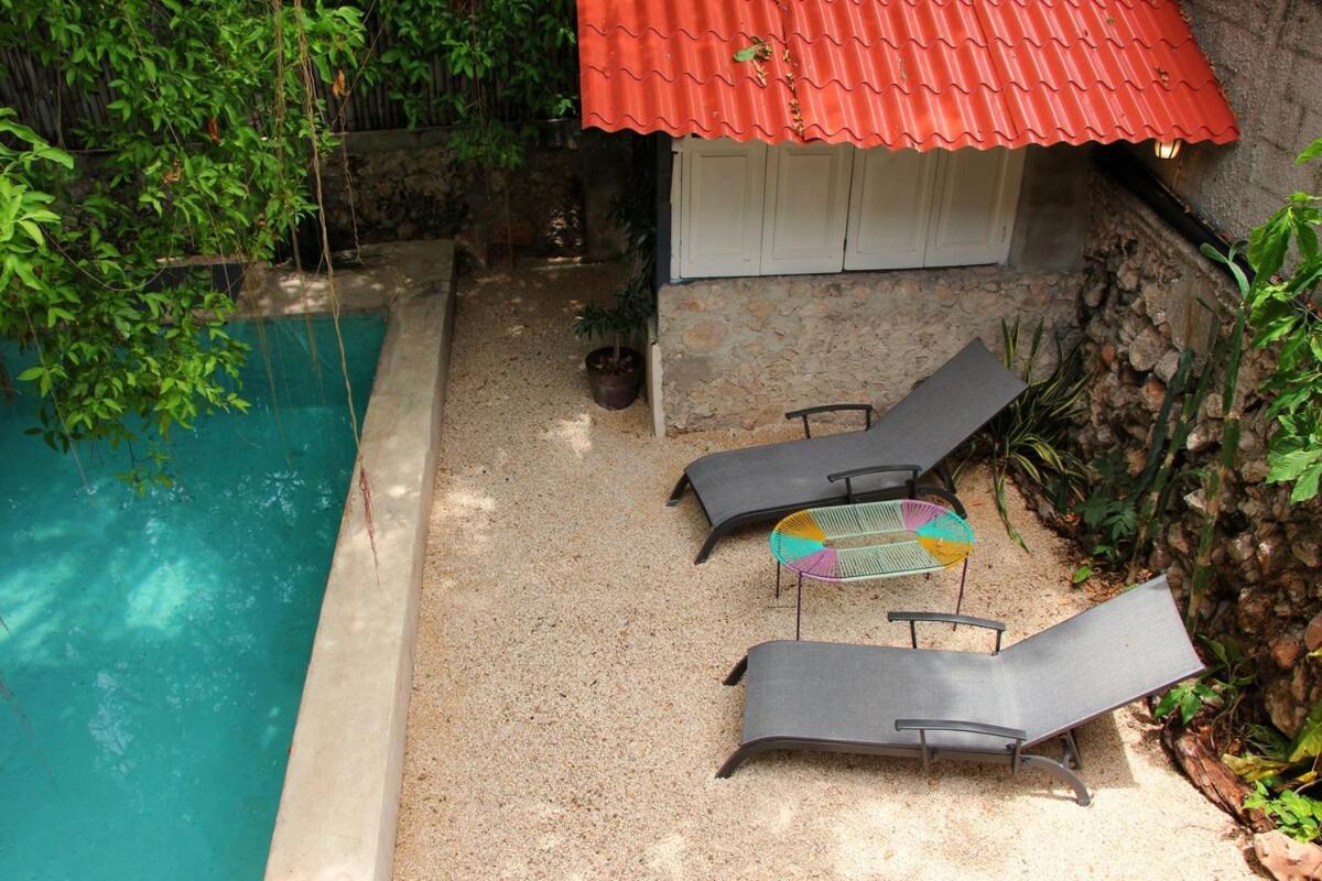 Oasis With Natural Pool In The Heart Of Mérida